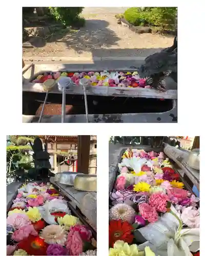 三河三弘法第二番　西福寺の手水舎