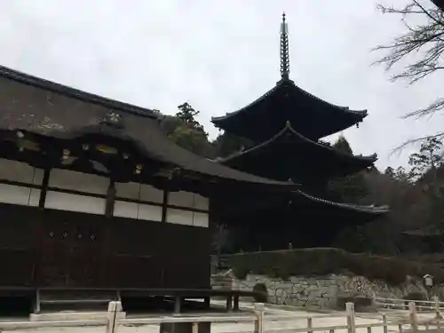 園城寺（三井寺）の建物その他