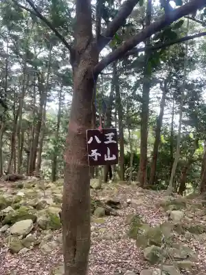 金大巌（牛尾宮・三宮）の{uncategorized: "未分類", other: "その他", undefined: "問題あり", building: "その他建物", grave: "お墓", sacred_gate: "鳥居", guardian: "狛犬", statue: "像", buddha: "仏像", history: "歴史", nature: "自然", garden: "庭園", animal: "動物", pagoda: "塔", temizu: "手水舎", mountain_gate: "山門・神門", sanctuary: "本殿・本堂", subordinate: "末社・摂社", art: "芸術", scenery: "景色", jizo: "地蔵", ema: "絵馬", goshuin: "御朱印", omikuji: "おみくじ", items: "授与品その他", amulet: "お守り", goshuincho: "御朱印帳", eats: "食事", festival: "お祭り", votive_dance: "神楽", shichigosan: "七五三参", wedding: "結婚式", experience: "体験その他", initially: "初詣", around: "周辺", anti_infection: "感染症対策"}