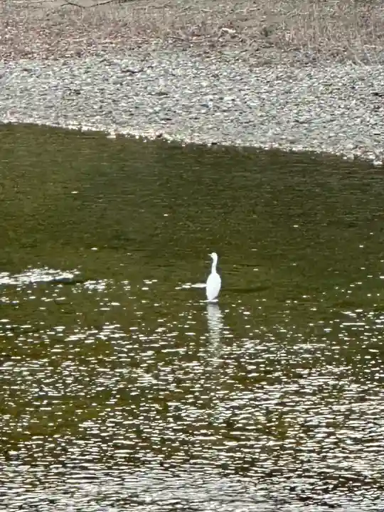 伊勢神宮内宮(皇大神宮)(三重県)