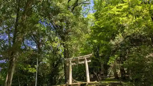 末廣神社の鳥居