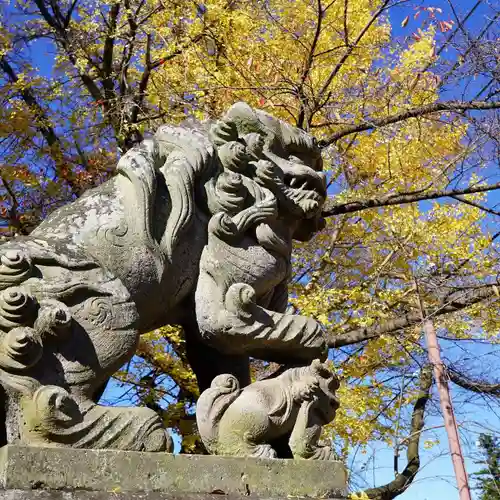 神炊館神社 ⁂奥州須賀川総鎮守⁂の狛犬