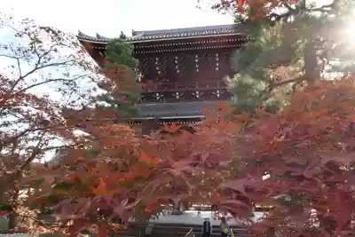 くろ谷 金戒光明寺の山門・神門