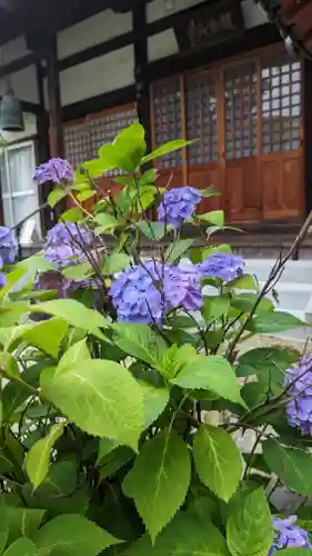 (佐古)称名寺(京都府)