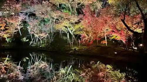 高台寺（高台寿聖禅寺・高臺寺）の庭園