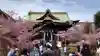 桜神宮の本殿・本堂