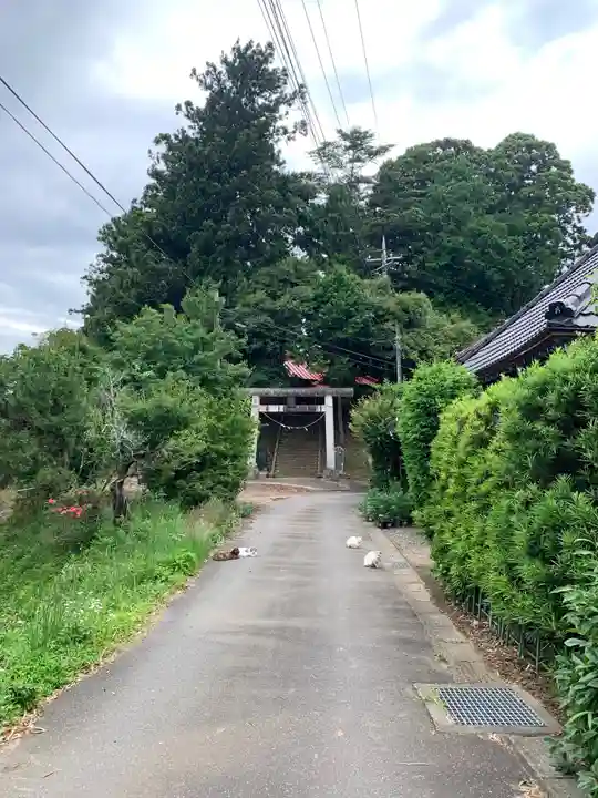 瘡大神(千葉県)