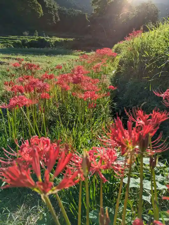 宝城坊(神奈川県)