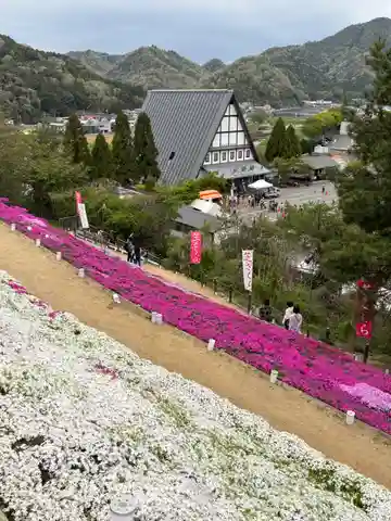 若杉稲荷大明神(兵庫県)