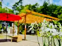 土津神社|こどもと出世の神さま(福島県)