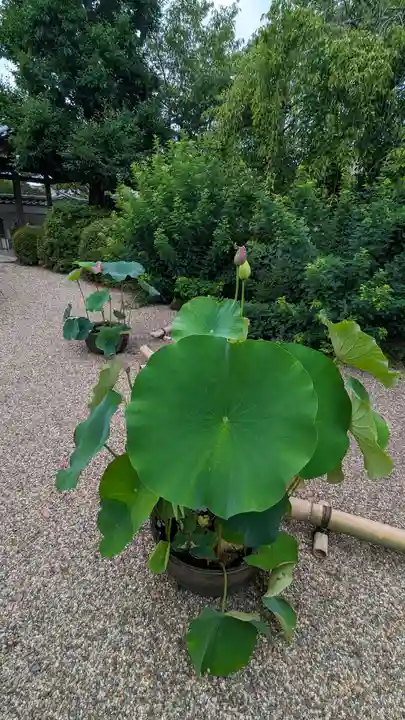 後白河院御聖蹟 法住寺(京都府)