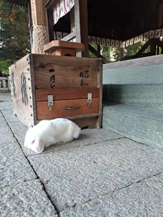 大御和神社(徳島県)