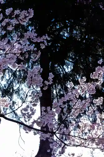 新城藤原神社(長野県)