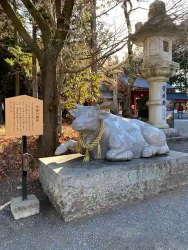 冨士御室浅間神社の狛犬