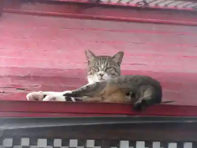 出世弁天の動物