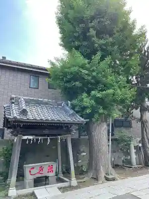 蛭子神社の手水舎