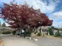 経胤寺(千葉県)