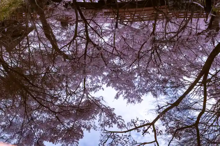 新城藤原神社(長野県)