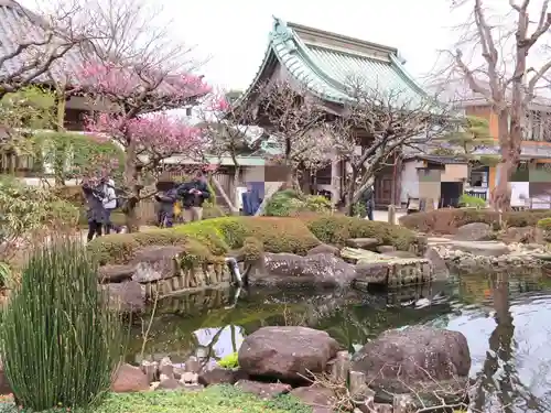 長谷寺の庭園