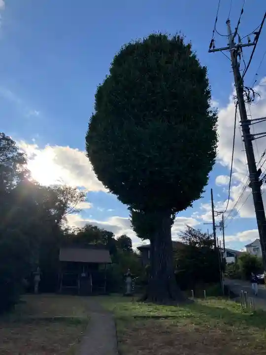 神明社(神奈川県)