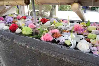 鳩森八幡神社(東京都)