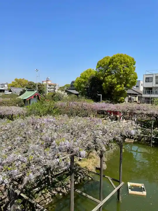 亀戸天神社(東京都)