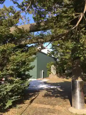 信濃神社の鳥居