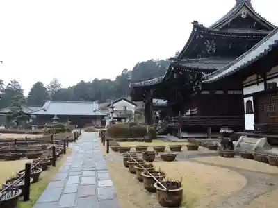 三室戸寺のその他建物