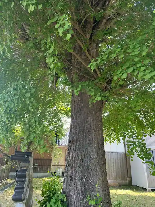菊理姫像石神社(富山県)