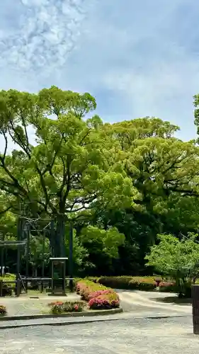 石清水八幡宮(京都府)