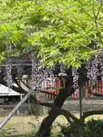 三春天満宮(福岡県)