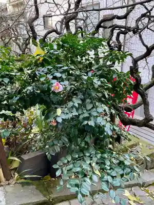 復興地蔵尊の{uncategorized: "未分類", other: "その他", undefined: "問題あり", building: "その他建物", grave: "お墓", sacred_gate: "鳥居", guardian: "狛犬", statue: "像", buddha: "仏像", history: "歴史", nature: "自然", garden: "庭園", animal: "動物", pagoda: "塔", temizu: "手水舎", mountain_gate: "山門・神門", sanctuary: "本殿・本堂", subordinate: "末社・摂社", art: "芸術", scenery: "景色", jizo: "地蔵", ema: "絵馬", goshuin: "御朱印", omikuji: "おみくじ", items: "授与品その他", amulet: "お守り", goshuincho: "御朱印帳", eats: "食事", festival: "お祭り", votive_dance: "神楽", shichigosan: "七五三参", wedding: "結婚式", experience: "体験その他", initially: "初詣", around: "周辺", anti_infection: "感染症対策"}