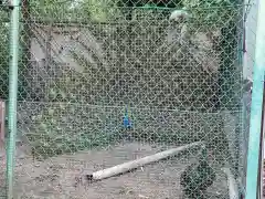 進雄神社の動物