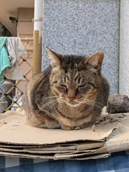 白金氷川神社(東京都)