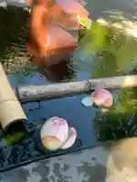 慈恩寺の手水舎