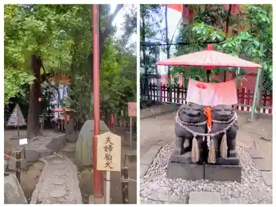 浅草神社の狛犬