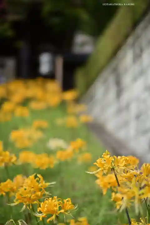 横浜 西方寺(神奈川県)