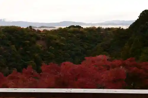 大悲閣千光寺(京都府)