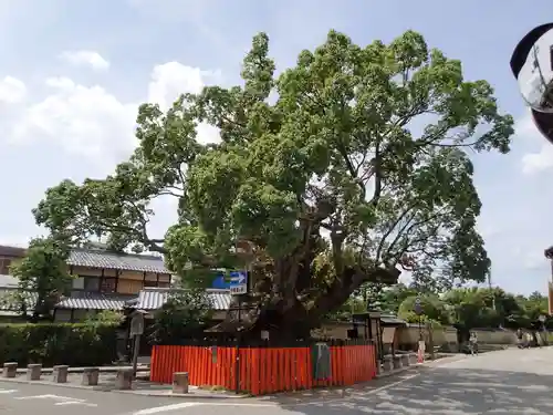 藤木社（賀茂別雷神社末社）のその他建物