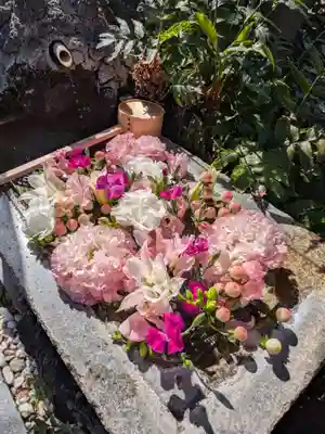 本郷氷川神社(東京都)