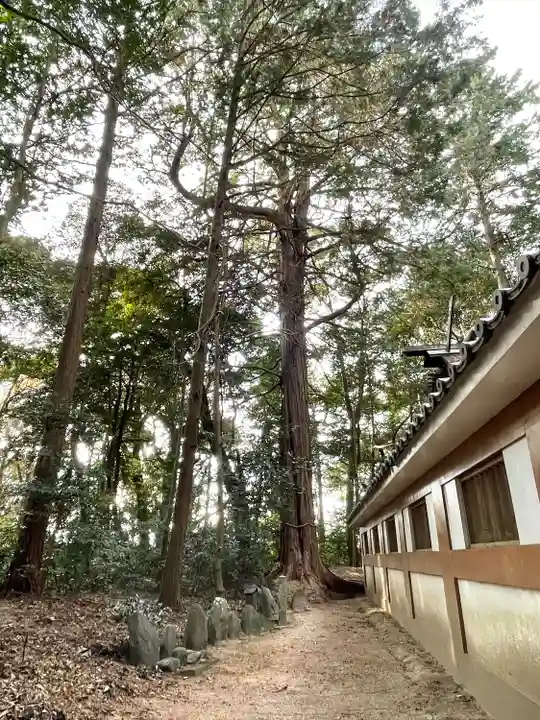 神戸乃神社のその他建物