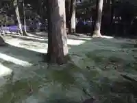 都農神社(宮崎県)