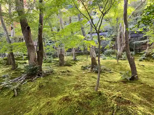 祇王寺(京都府)