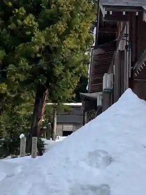 蒼柴神社(新潟県)