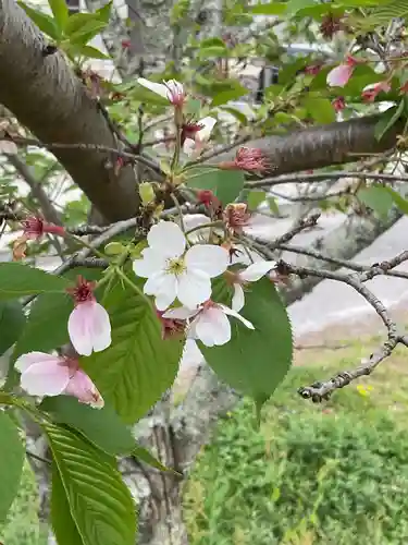 小山寺(岐阜県)
