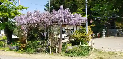 宇那禰神社の自然