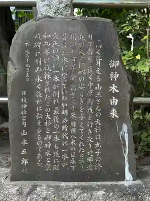 丸子山王日枝神社(神奈川県)