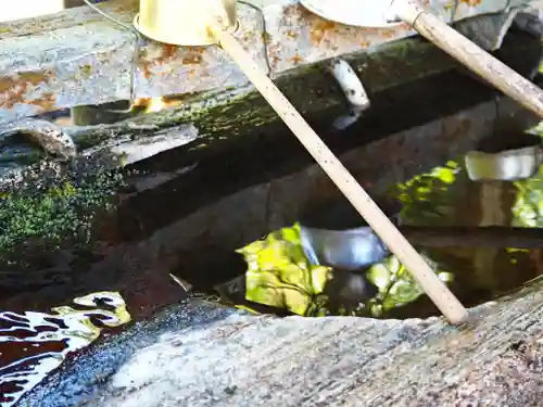 藤井寺の手水舎