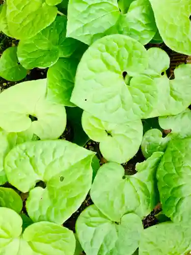 土津神社｜こどもと出世の神さまの自然