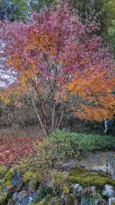 正寿院(京都府)